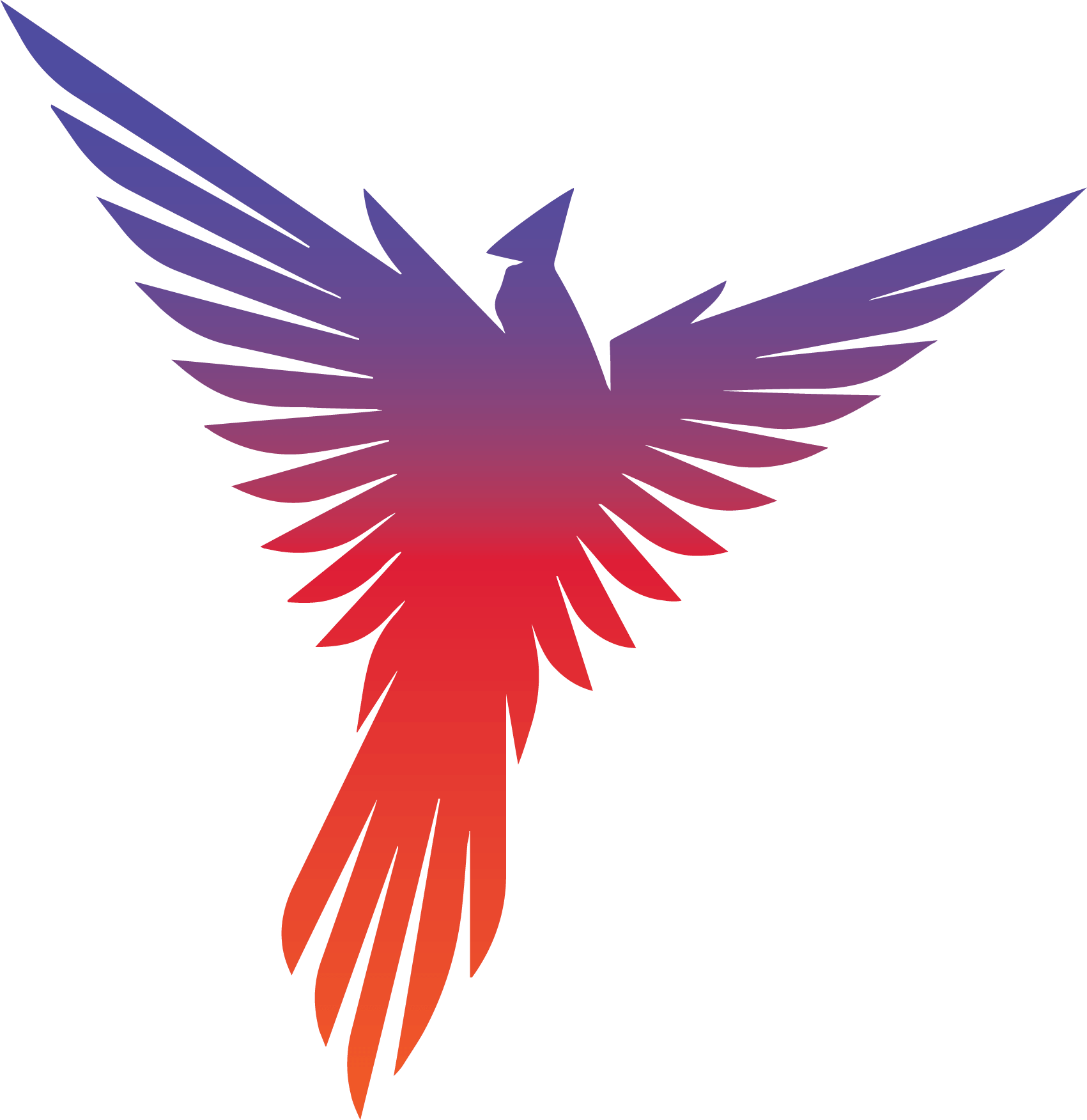 Phoenix Gradient