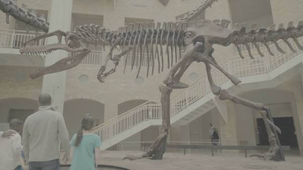 Fernbank Museum