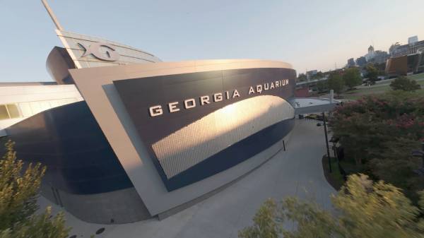 Georgia Aquarium and World of Coke Drone